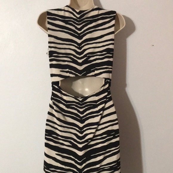 Zebra print dress - Picture 3 of 3